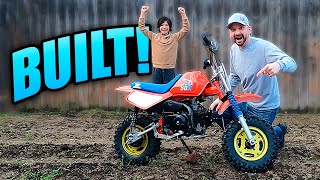 We Built A Throwback Style Honda Z50 dirt bike Restoration [upl. by Revert]