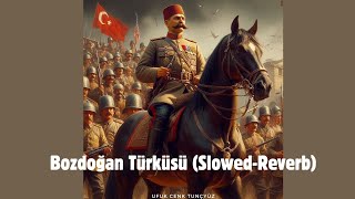 Bozdoğan Türküsü Slowed  Reverb [upl. by Sprung]