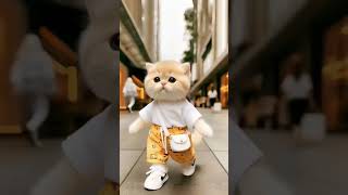 Best Viral Marathi song cats viralvideo taubatauba music [upl. by Brana153]