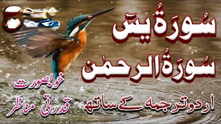 surah rehman ki tilawat tarjuma ke sath  surah yaseen full tarjuma ka sath [upl. by Myron]