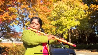 Beautiful Flute Music  Raag Bhairavi  Indian Classical Music  Hindustani Raga  Bansuri  Banshee [upl. by Baptist724]