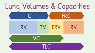 Lung volumes and capacities [upl. by Ayvid]