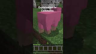 Pink sheep found😮 [upl. by Flem]