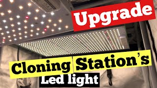 CLONING STATION GETS AN UPGRADE [upl. by Wootan]