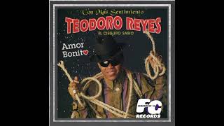 Teodoro Reyes  Amor Bonito  Comiendote A Besos [upl. by Tallbot]