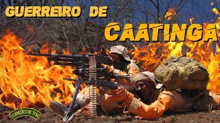 GUERREIRO DE CAATINGA  CANÇÕES DE TFM [upl. by Lubbi]