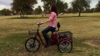 ew 29 Electric Trike Video [upl. by Noscire]