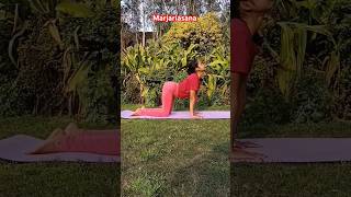 Marjariasana yoga spinehealth marjariasana catcowpose youtubeshorts ytviral jaihanumanji om [upl. by Hally633]