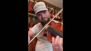 Martin Sheridan 5String Guarneri Violin 44 [upl. by Light]