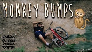 Gasser Diaries  Monkey Bumps [upl. by Nicolas]