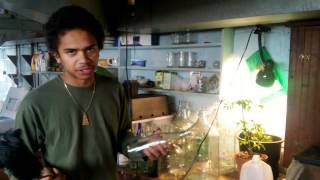 Urban Permaculture Spring Preparations w William PadillaBrown [upl. by Plume]