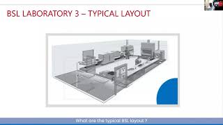 What are the typical BSL layout [upl. by Ashford579]