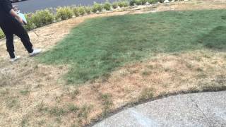 Grass Painting using NonToxic Grass Paint and 1 gallon lawn sprayer [upl. by Oisorbma437]