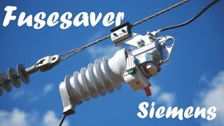 Siemens Fusesaver  Rede de Distribuição [upl. by Yekram]