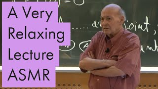 Unintentional ASMR  Marvin Minsky gives a super relaxing lecture on Mathematics for MIT [upl. by Leviram984]