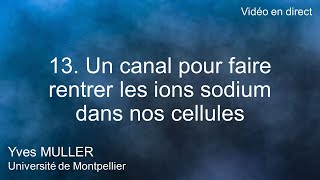 13 Un canal pour faire rentrer les ions sodium dans nos cellules [upl. by Mw]