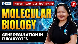 Gene Regulation in Eukaryotes IIT JAM Biotechnology  GAT B  CUET PG 2025  Molecular Biology  L11 [upl. by Berlauda]