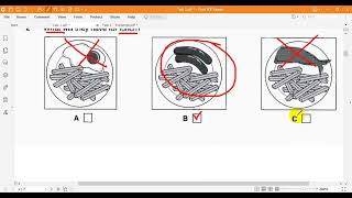 Cambridge English Preliminary 4 Listening Test 2 Part 1 [upl. by Howie]