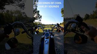 14 Seconds of Harley Motorcycle Sounds [upl. by Anissa74]