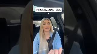 Meliha Imširović učesnica Zvezda granda prelijepo uči ilahiju “Ptica dženetska” [upl. by Drofdeb827]