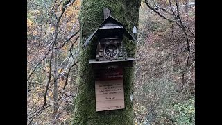 Genießerpfad Uhrwaldpfad Rohrhardsberg Schonach im Schwarzwald [upl. by Zahc]