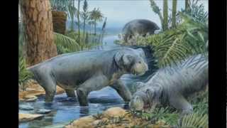 Historia de la Tierra P2y3  El Paleozoicowmv [upl. by Stubbs]