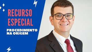 Recurso Especial  Procedimento na origem [upl. by Huntington]