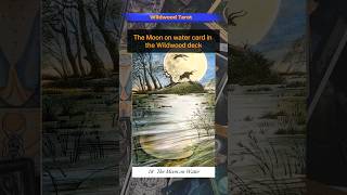 Embracing the Subconscious Wildwood Tarots Moon on Water Card [upl. by Gordan]