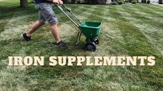 How to get a Greener Lawn Does it work [upl. by Naelcm]