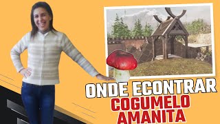 ONDE ENCONTRAR COGUMELOS AMANITAS [upl. by Aramois]