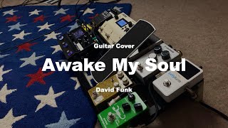 Awake My Soul  David Funk  Lead Guitar Cover [upl. by Holt]