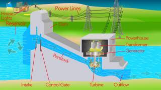 How a Hydro Electric Dam Works [upl. by Esinereb]