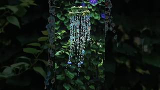 Wind Chime  Broken Mirror Wind Chimes  Wind chime with sound  diy art shorts viralshorts [upl. by Brandea468]