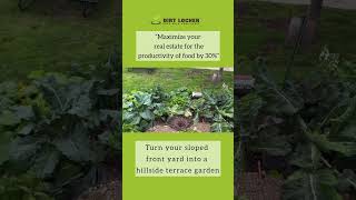 Hillside gardening on a sloped yard with raised planters by Dirt Locker for organic homegrown food [upl. by Ferdinande]