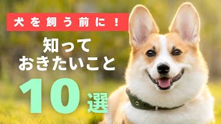 【犬を飼う前に！】知っておきたいこと【10選】 [upl. by Ariik]