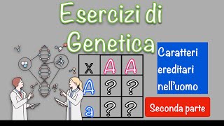 Esercizi di genetica umana  leggi di Mendel e quadrato di Punnett 2 [upl. by Ecilayram144]