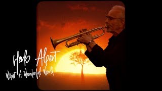 HERB ALPERT  WHAT A WONDERFUL WORLD Official Video [upl. by Anett144]