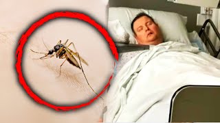 Man Dies After Contracting Triple E Virus From Mosquito [upl. by Yllet]