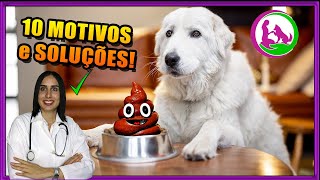 Coprofagia  Como fazer o cachorro parar de comer cocô  Dicas da Vet [upl. by Kiersten]