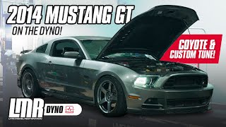 2014 Mustang GT Dyno  Boltons Custom Tune amp 100k Miles Accidental 5th gear pull [upl. by Gottwald]