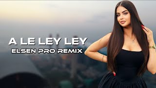 Elsen Pro  A Le Ley Ley Tiktok Remix [upl. by Nema]