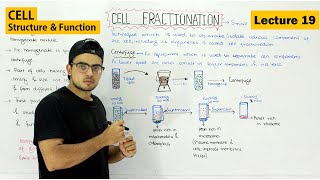 Cell fractionation  Basic technique of Cell biology  Video 19 [upl. by Ellingston401]