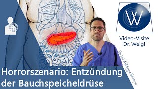 Horrorszenario Pankreatitis  Was tun bei akuter oder chronischer Entzündung der Bauchspeicheldrüse [upl. by Okihsoy]