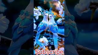 Cute beautiful bird  ai Birds  birds shorts videoShorts birdslover aiart pets [upl. by Elleivap]