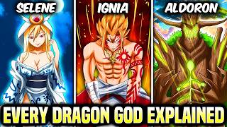 EVERY Dragon God In Fairy Tail 100 Years Quest EXPLAINED [upl. by Erinna]