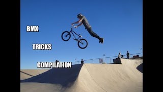 BEST BMX TRICKS COMPILATION  10 Freestyle amp Amazing Tricks [upl. by Annerb]