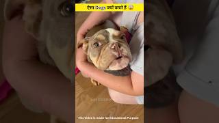 Dogs ऐसा क्यों करते हैं shorts [upl. by Briggs]