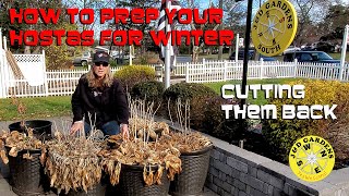 How to Prep Your Hostas for the Winter 2021 [upl. by Mozza]