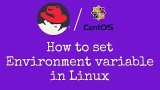 How to set environment variable in Linux  Hindi [upl. by Annayar394]