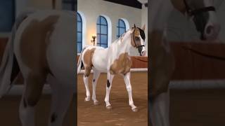 Star Stable Pintabian In Reality  SSO TikTok [upl. by Ynove]